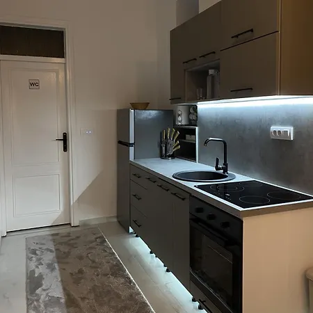 Luxury - 50 M From Old Clock Tower 아파트 사라예보